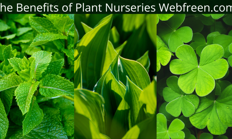 The Benefits of Plant Nurseries Webfreen.com