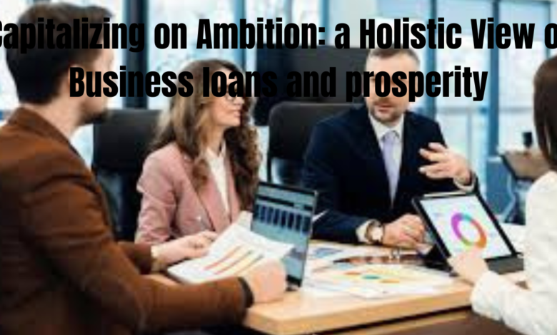 Capitalizing on Ambition: a Holistic View of Business loans and prosperity